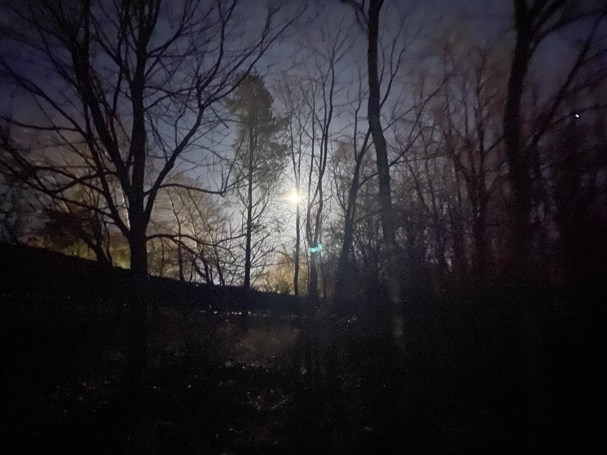 AlyMcKechnie's tweet photo. Missing dipping in the moon - felt itโs been a tough start to the year. Trying to find ways to soak up moons energy & keep pushing through. Big thanks @mccombie_sandra tonightโs walking buddy such a peaceful evening. #feelinggrateful #keepingpositive ๐ #itsharderwhenyoucare https://t.co/97oBS4tR2G