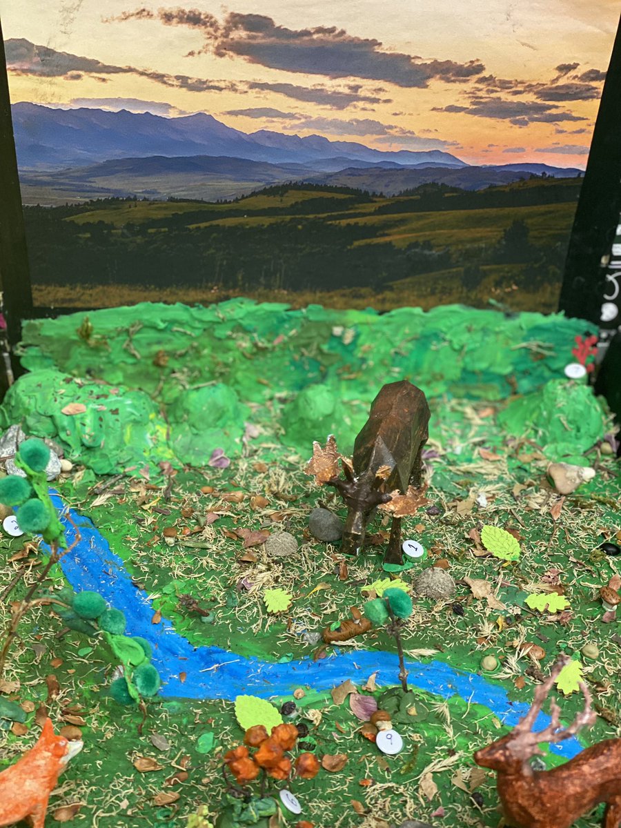 Grade 4 Boreal Forrest Dioramas