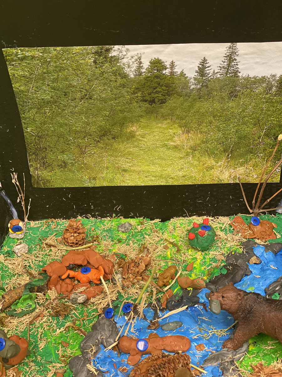 RosedaleCBE's tweet photo. Grade 4 Boreal Forrest Dioramas https://t.co/C6wJvw5Dh5