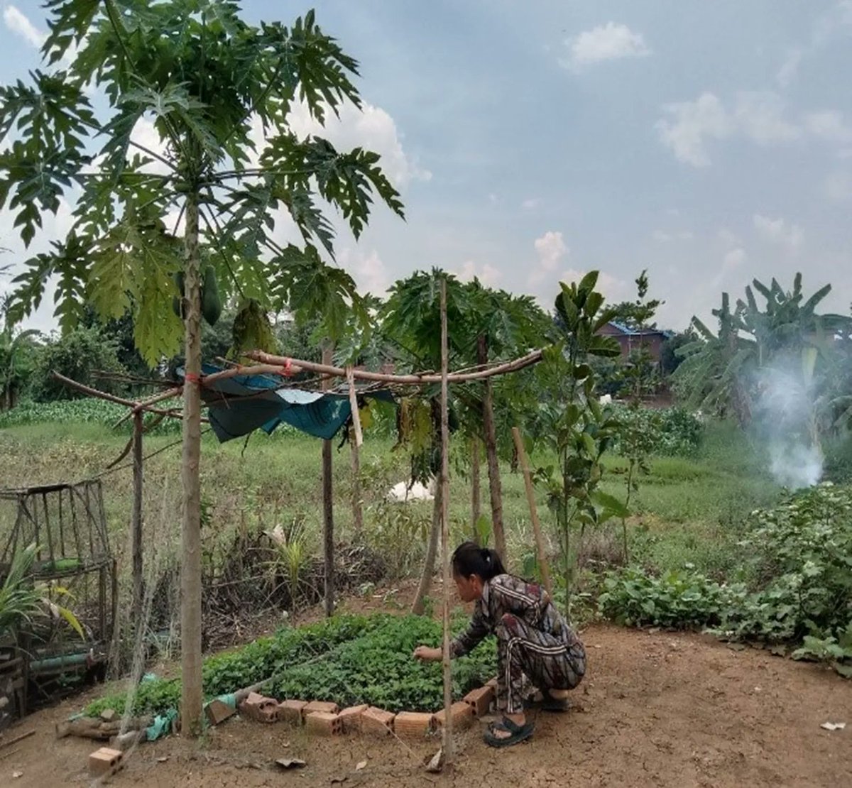 HabitatAu's tweet photo. We're so happy to see Salout and her family embracing life in their new home and upscaled veggie garden, built with @HabitatCambodia and @dfat's #ANCF. Read more of their story at: https://t.co/GLQPuAQg3L https://t.co/tUjACzhxuJ