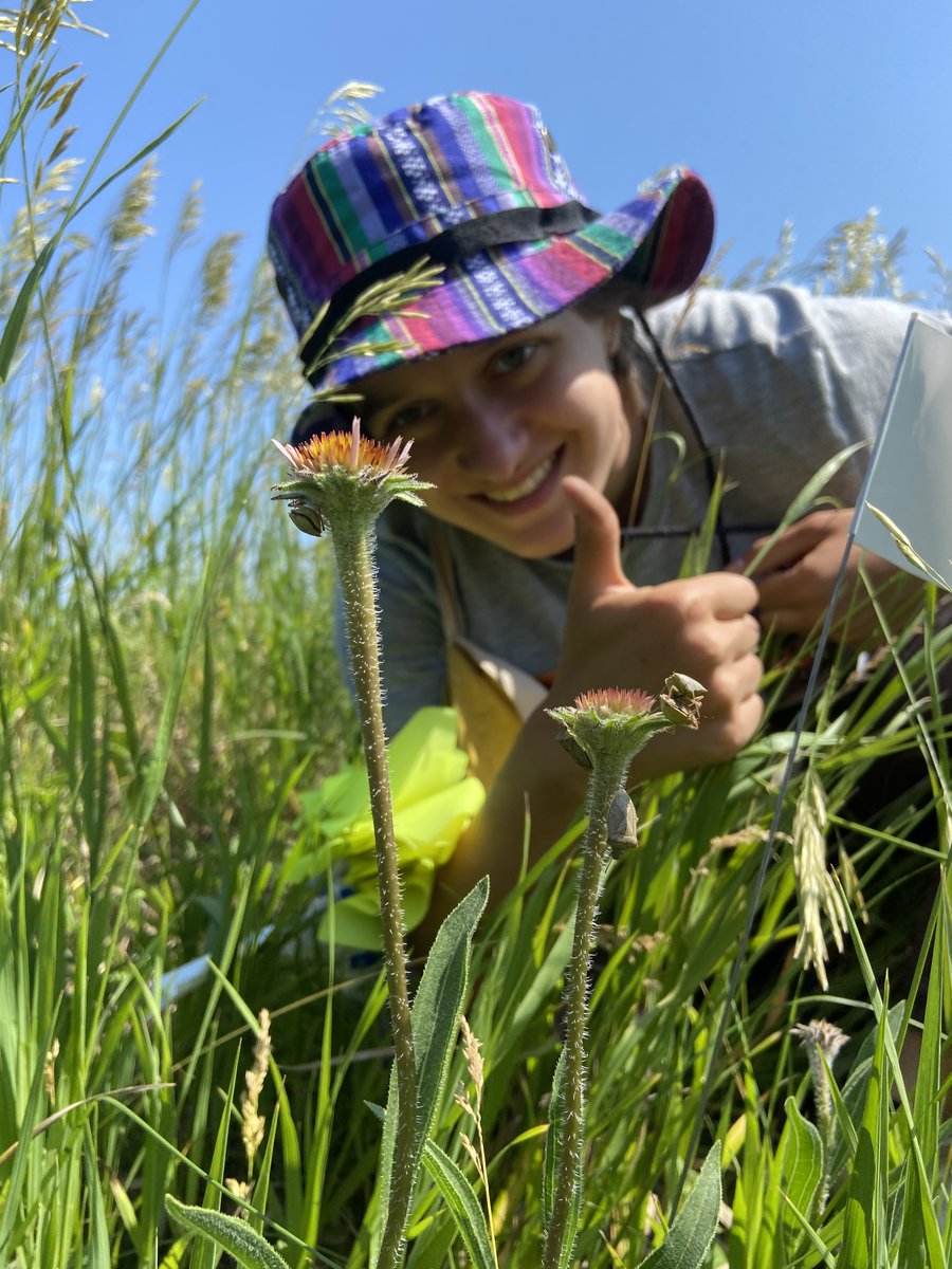 Echinacea Project (@teamechinacea) on Twitter photo Calling all undergraduates who are interested in #ecology or #conservation & want to learn more about research. Apply for our #REU internship this summer! echinaceaproject.org/opportunities/… <a href="/NSF/">U.S. National Science Foundation</a> <a href="/chicagobotanic/">Chicago Botanic Garden</a> Calling all undergraduates who are interested in #ecology or #conservation & want to learn more about research. Apply for our #REU internship this summer! echinaceaproject.org/opportunities/… <a href="/NSF/">U.S. National Science Foundation</a> <a href="/chicagobotanic/">Chicago Botanic Garden</a>