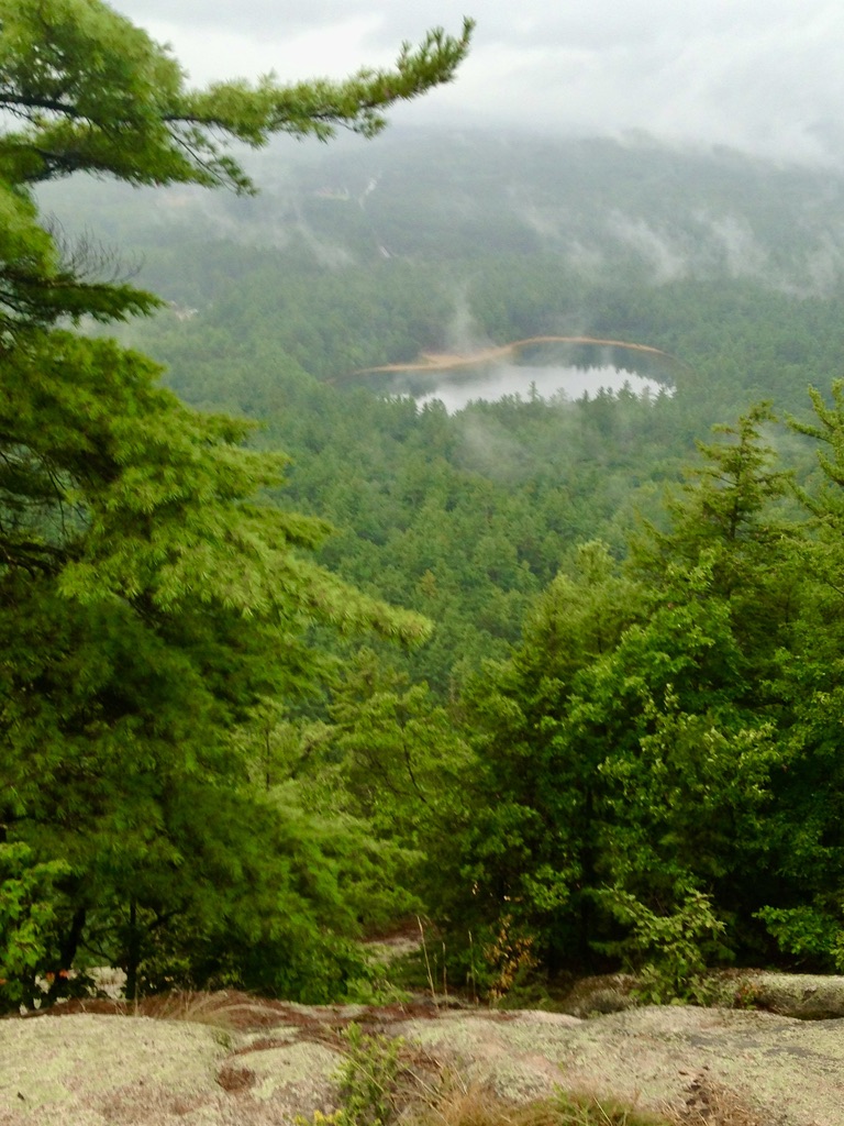 CanyonCoyote1's tweet image. Way Up

#WhiteMountains #NewHampshire #travelphotography #lake #NaturePhotography #photo #NatureBeauty