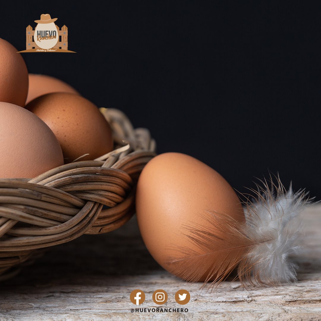 HuevoRancheroES's tweet photo. No te quedes con las ganas de probar el mejor sabor de huevos de rancho que puede haber 🤩😋

De gallina libre pastoreo, criadas con amor 🤍
✅ Libres de hormonas
✅Libres de antibióticos
✅3 veces más de proteína 

📞 229 950 91 90 

#Veracruz #Orgánico #Gallina https://t.co/2nWJDXZAAr
