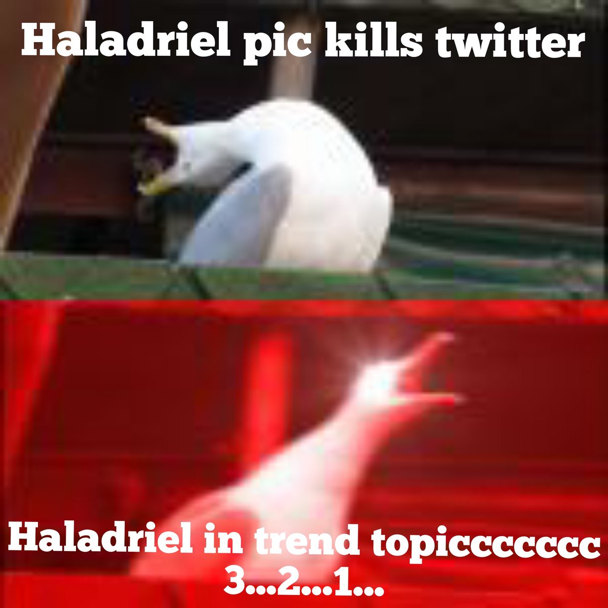 #haladriel 
#weneedhelp