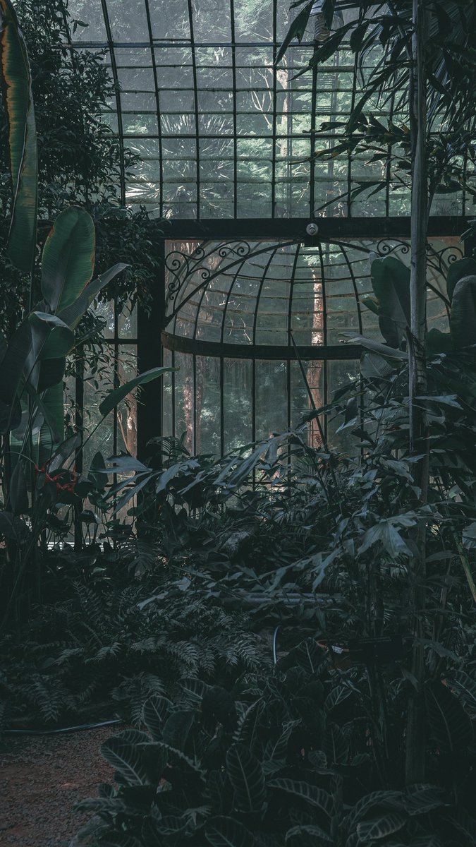 mdkro's tweet image. Me fuí con la cámara al Jardín Botánico de la Ciudad. Dejo un hilo de fotos que bien podrían ser fondos de pantalla para el celu.