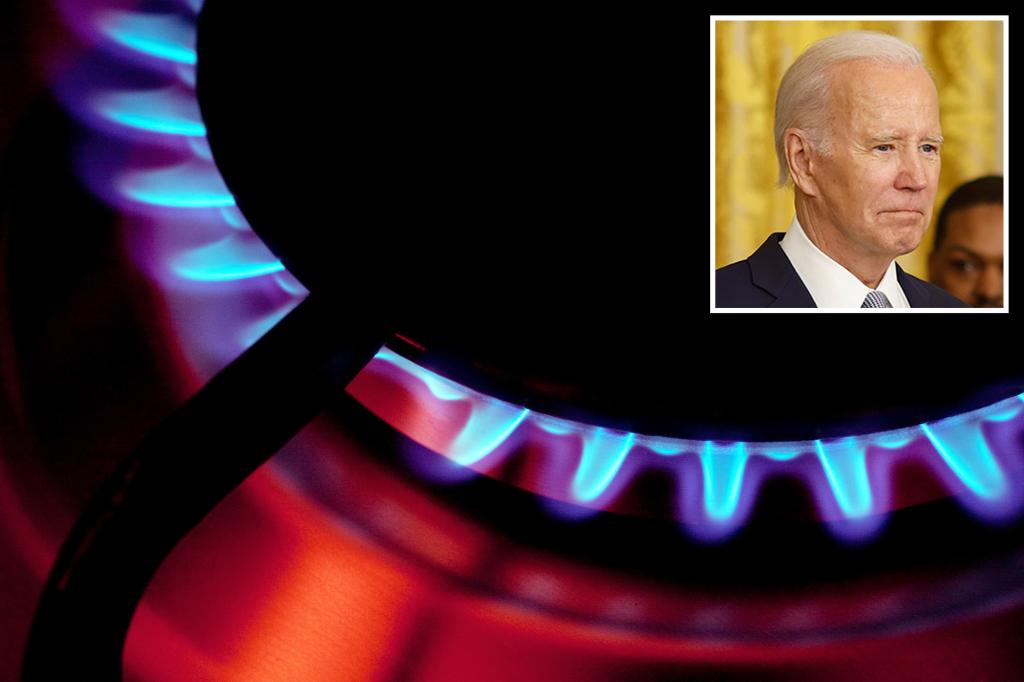 Biden administration weighs nationwide ban on gas stoves: report trib.al/UVQbO4V