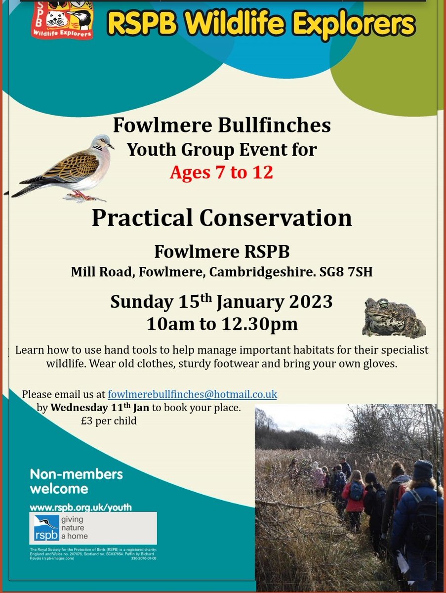 Fowlmere Bullfinches tweet media