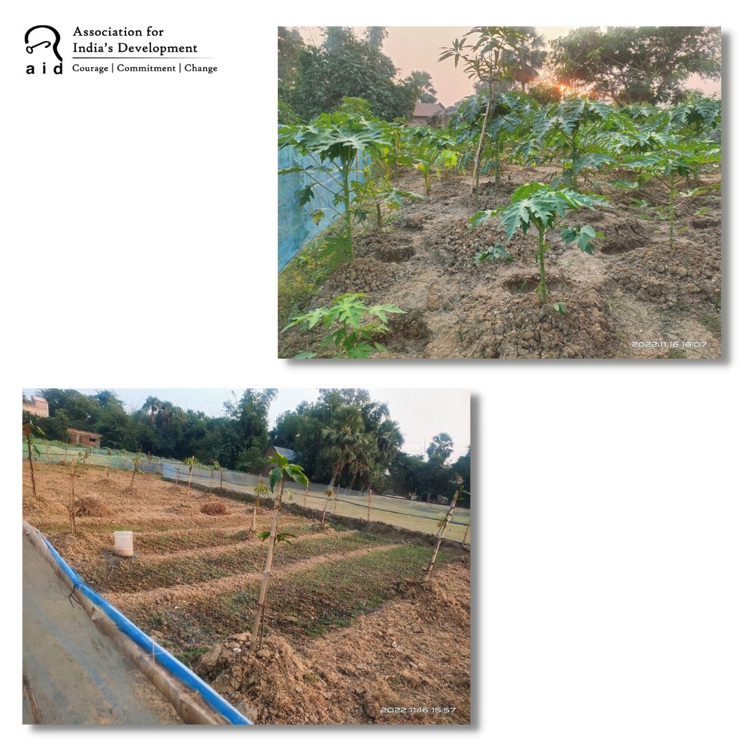 Association for India's Development tweet media