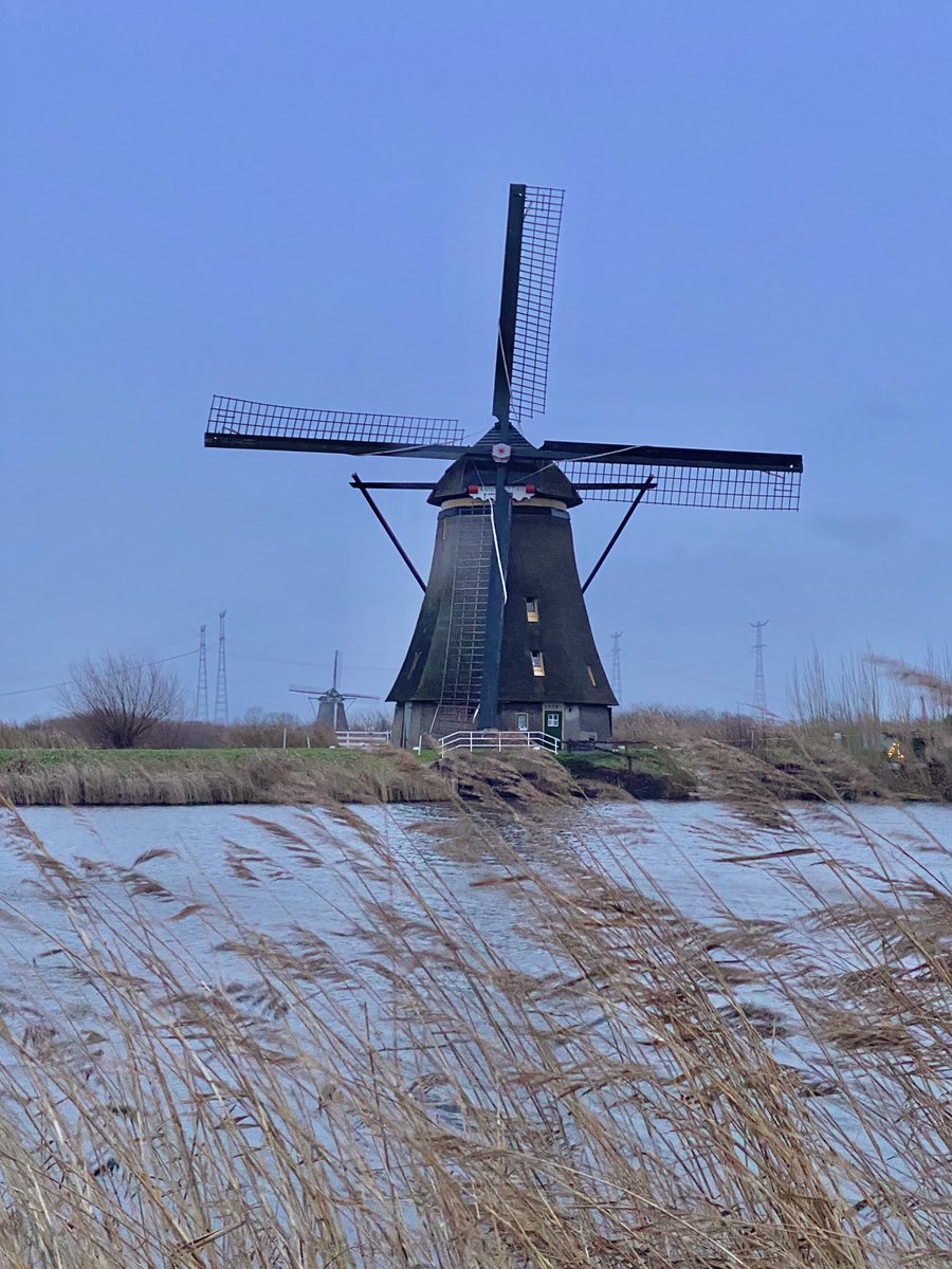 𝒜𝓂𝑒𝓁✨ tweet media