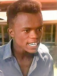 When Zim was a successful economic powerhouse &amp; "bread basket of Africa" no SAns left to flood Zim. We stayed in SA amidst our challenges.
In fact no Botswanans, Mozambicans, Zambians or Swati went to leech in Zim, but 2day Zimbos are scattered all over SADC
#PutSouthAficansFirst