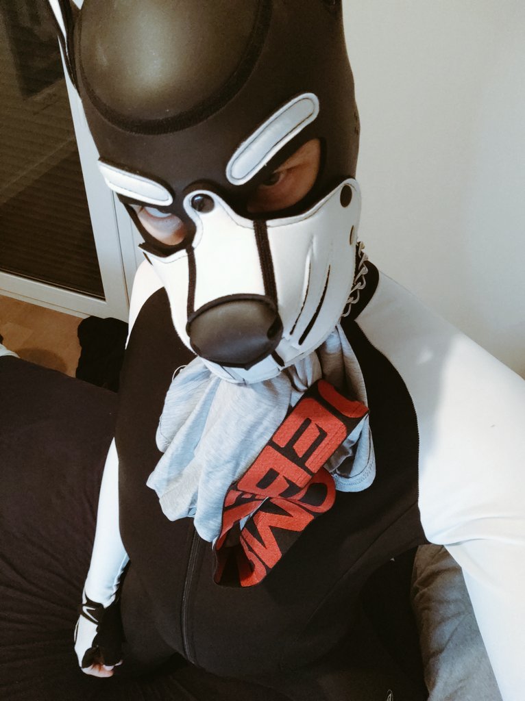 Pup_Dash1's tweet photo. Got some smelly underwear for you 😈🥵
Bone included 🍆 https://t.co/CEJciU1GzL