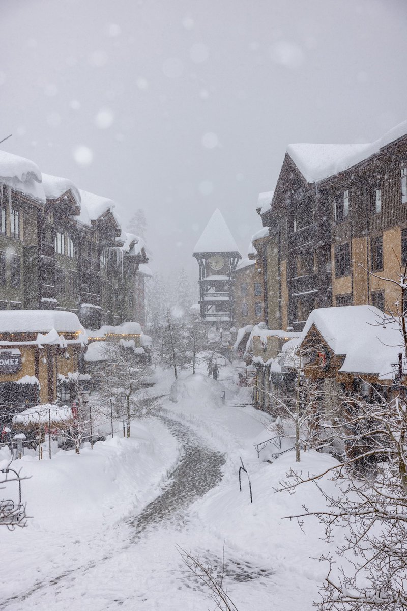 Mammoth Lakes Tourism, California tweet media