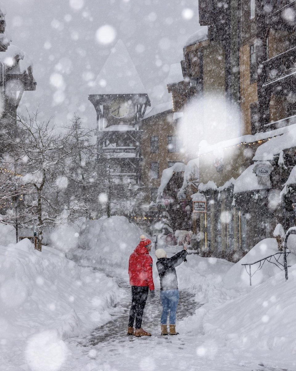 Mammoth Lakes Tourism, California tweet media