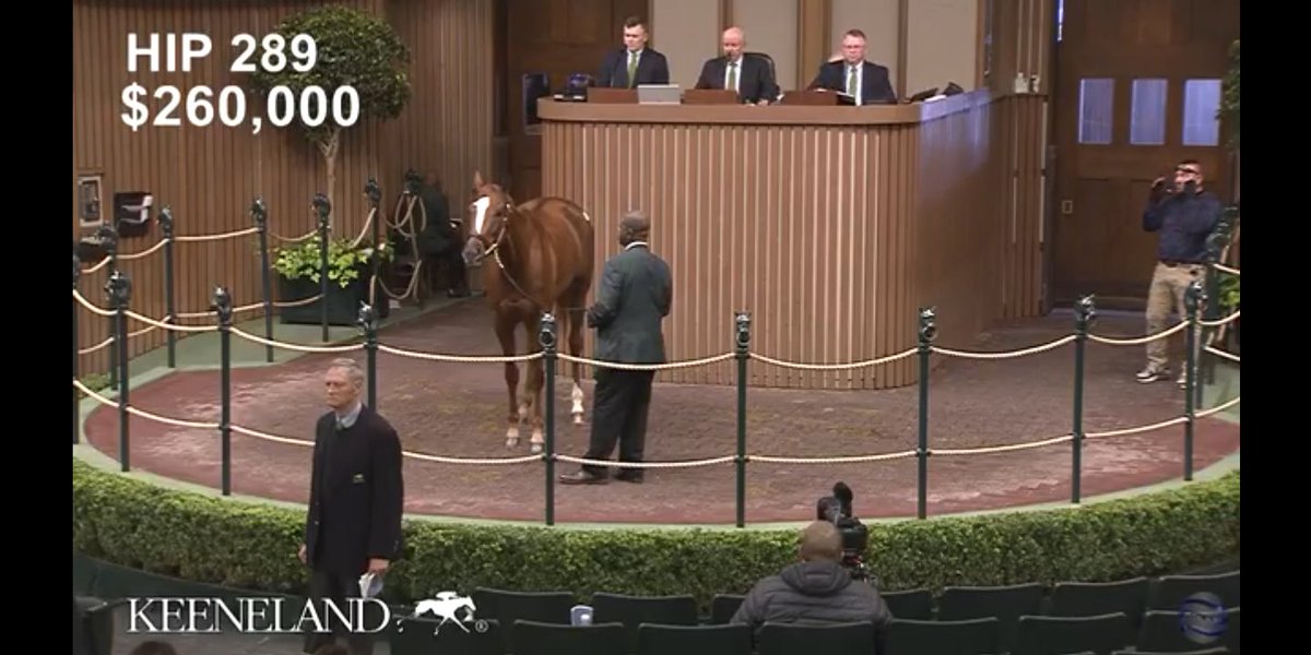 BumpyLasagna89's tweet image. Congrats to ALL involved!!