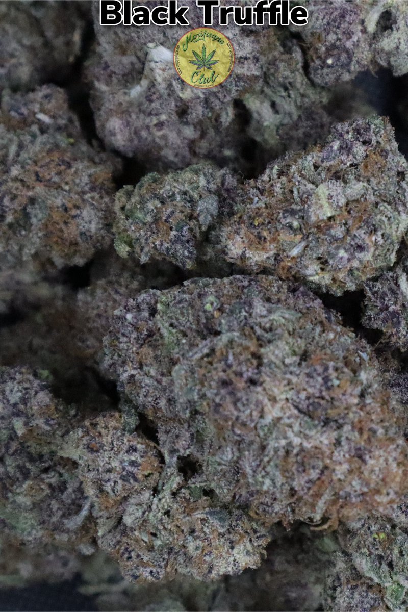 rushgreen15's tweet photo. ‼️New Drop This Week‼️

Follow me on Instagram: @marijuanaclub.916 
Text me: 916-519-9848
Follow me on Twitter: @rushgreen15
Follow my YouTube Page: marijuana club 916
go to my website @ https://t.co/uTHbse5l7c https://t.co/OyaqnXgUT9