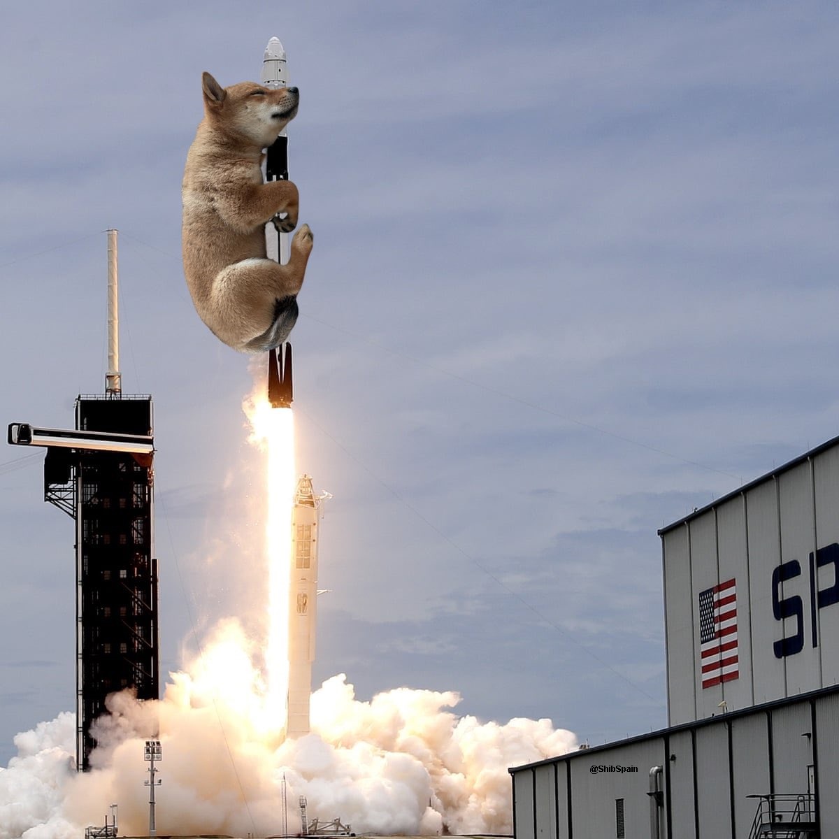 Shib Spain tweet media