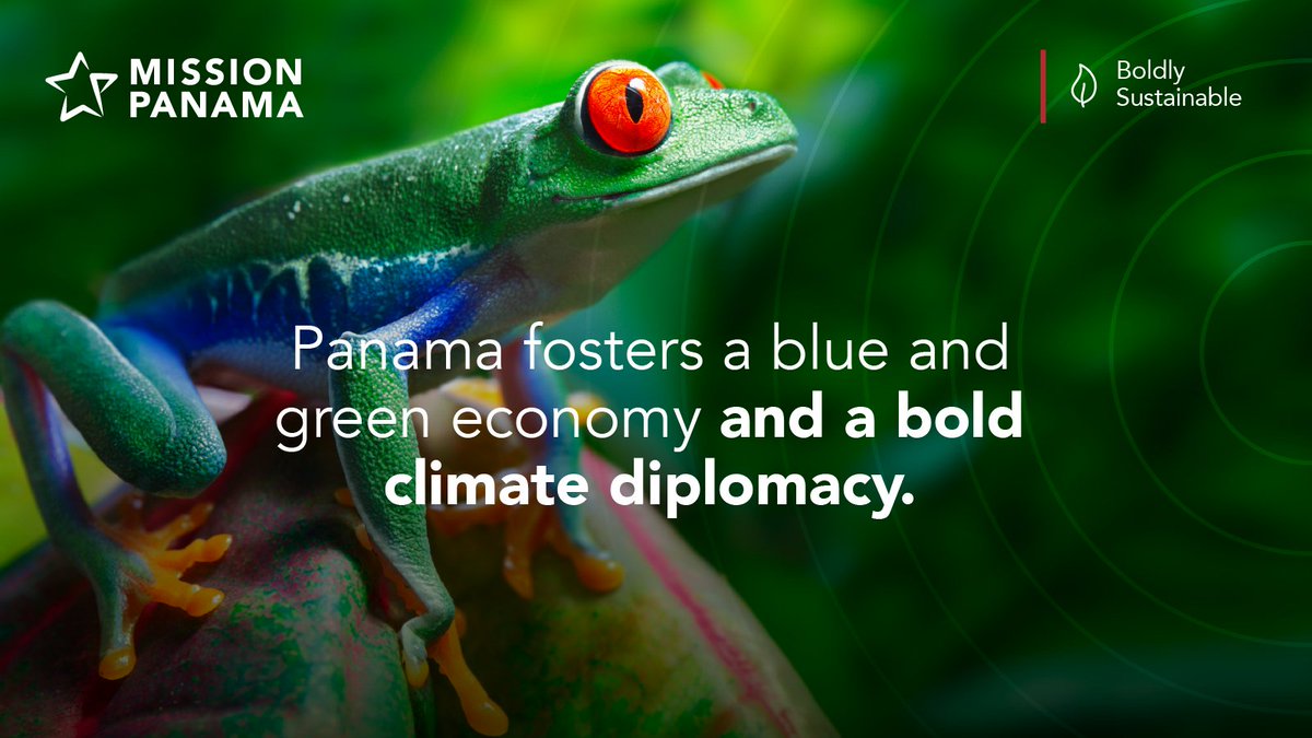 Mission Panama tweet media