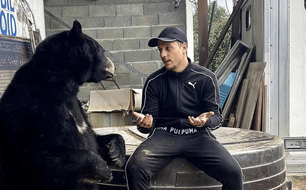 PLK : après le morceau en live, il veut créer un EP entier avec l’aide de ses fans

👉 gentsu.fr/rap-fr/news/pl…