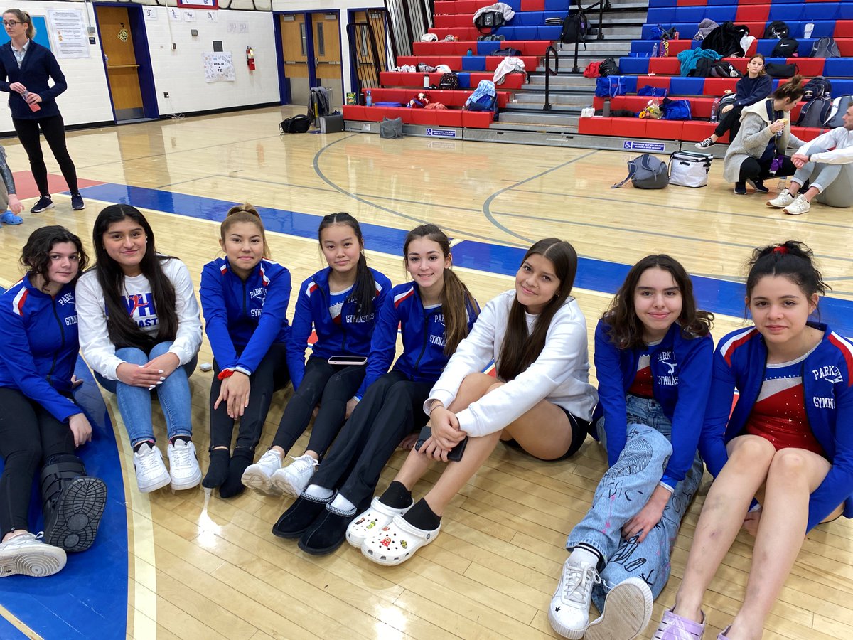 Park View Gymnastics tweet media