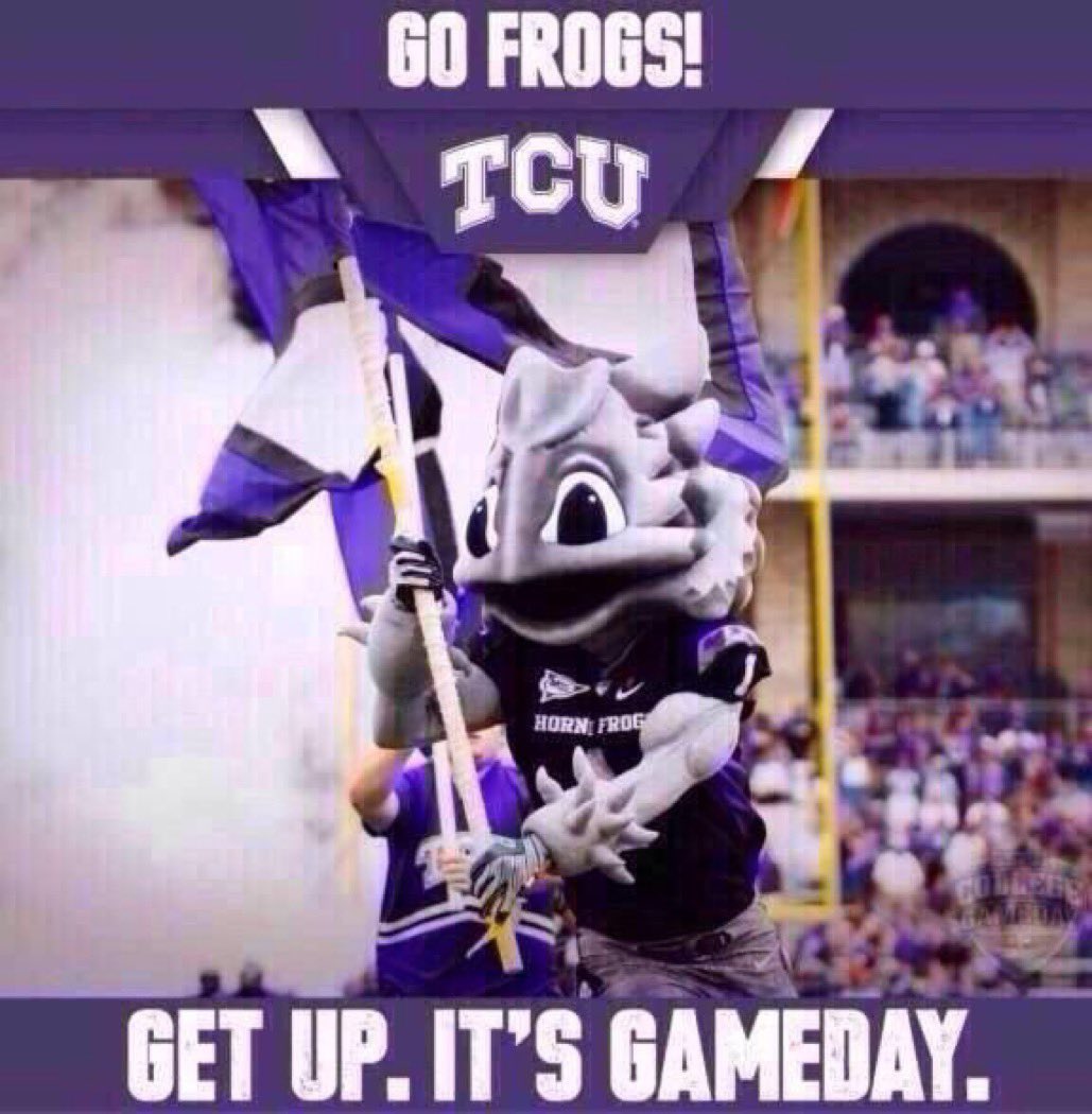 FROG UPDATES tweet media