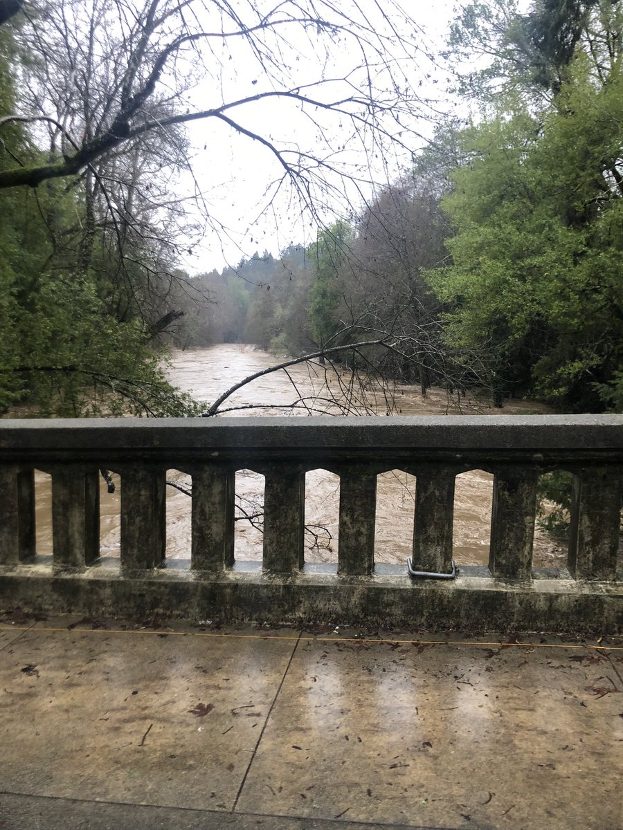 CALFIRECZU's tweet photo. This is a current look at conditions in Santa Cruz County. Photos: Hwy 9 closed at Highlands Park, San Lorenzo River at Henry Cowell in Felton is rising. #CaWx https://t.co/4L8CwAC3Cw