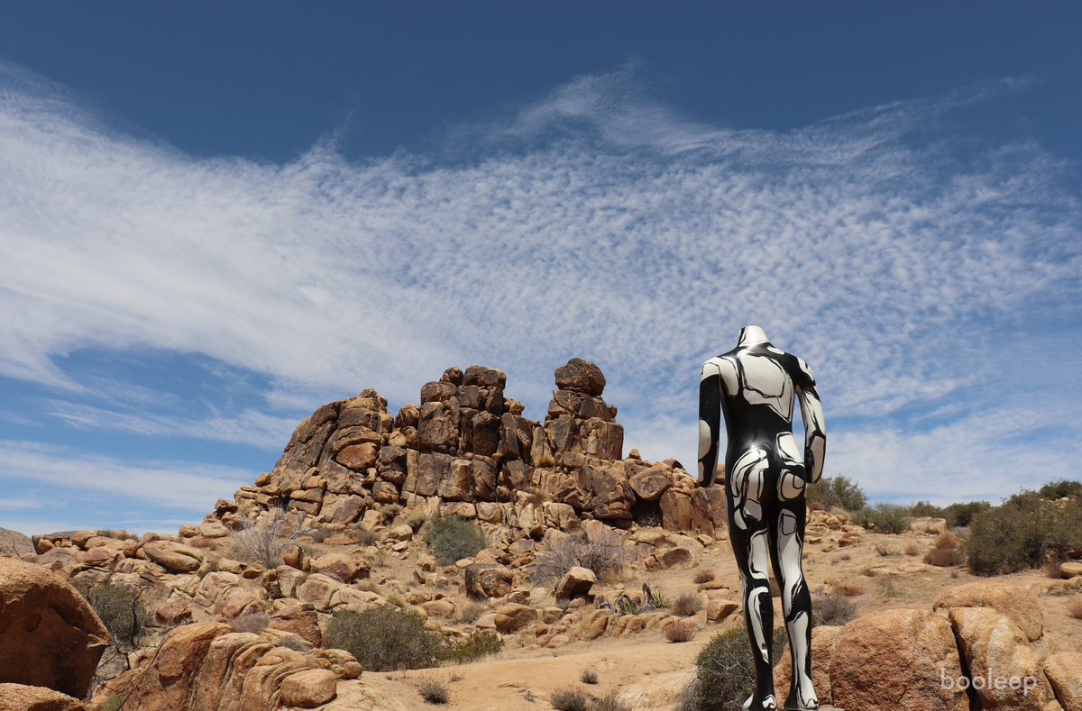 This one didn’t make the calendar, but I love it. Desert drives in 2021 with my mannequins… getting back to skin in 2023. Happy Monday! #booleep #bodypaint