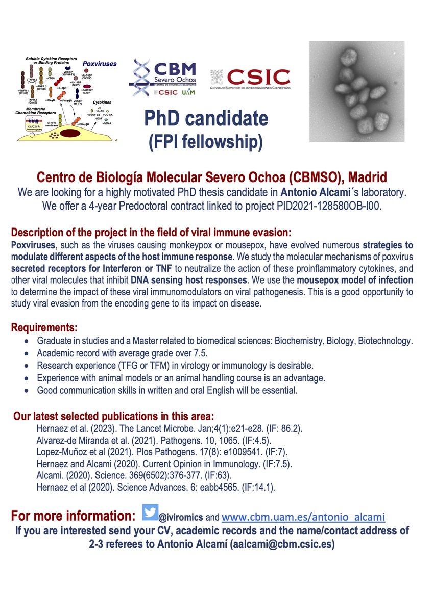 iviromics's tweet photo. Interested in working on poxvirus immune evasion at @CBMSO_CSIC_UAM , including #mousepox and #monkeypox virus? Understanding how viruses modulate inflammation and the immune response? We offer a 4-year FPI PhD Fellowship. Contact urgently with aalcami@cbm.csic.es https://t.co/1mmW0nlXYJ