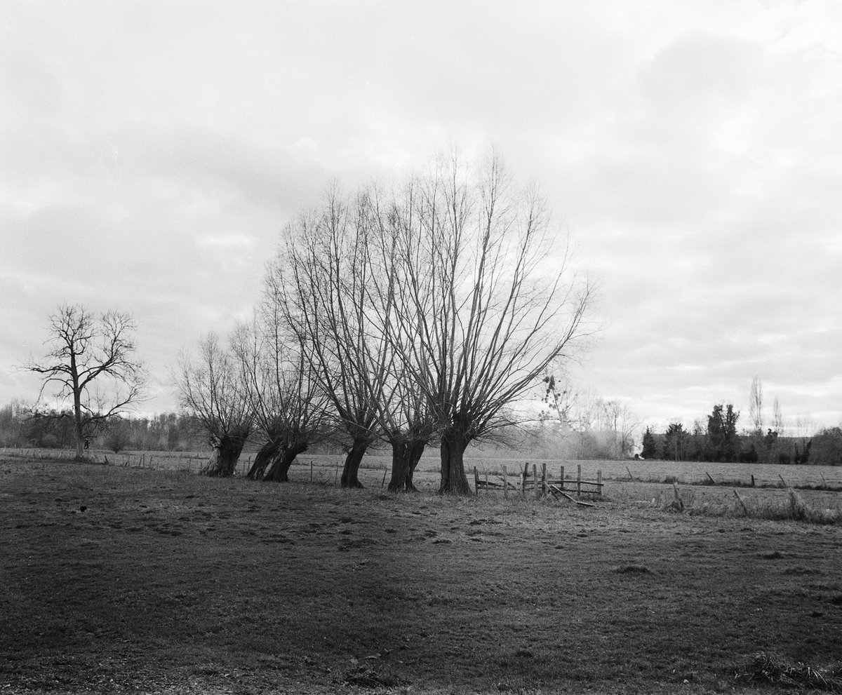 Analogapertures's tweet photo. Diane, une forme humaine -

Calotype / Polaroid - à la chambre
Photographies Argentique https://t.co/QLphV0oVfg