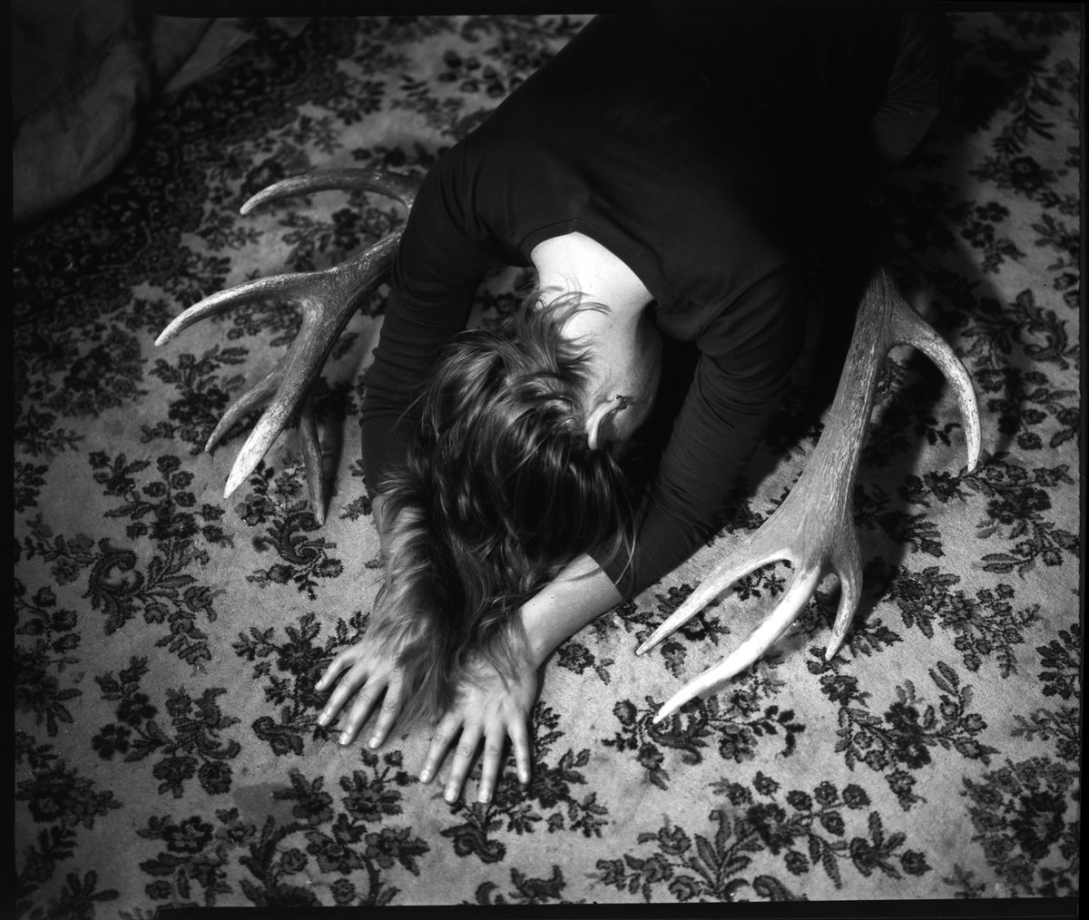 Analogapertures's tweet photo. Diane, une forme humaine -

Calotype / Polaroid - à la chambre
Photographies Argentique https://t.co/QLphV0oVfg
