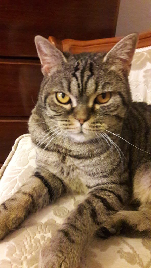 Kendi evi olmasın mı artık