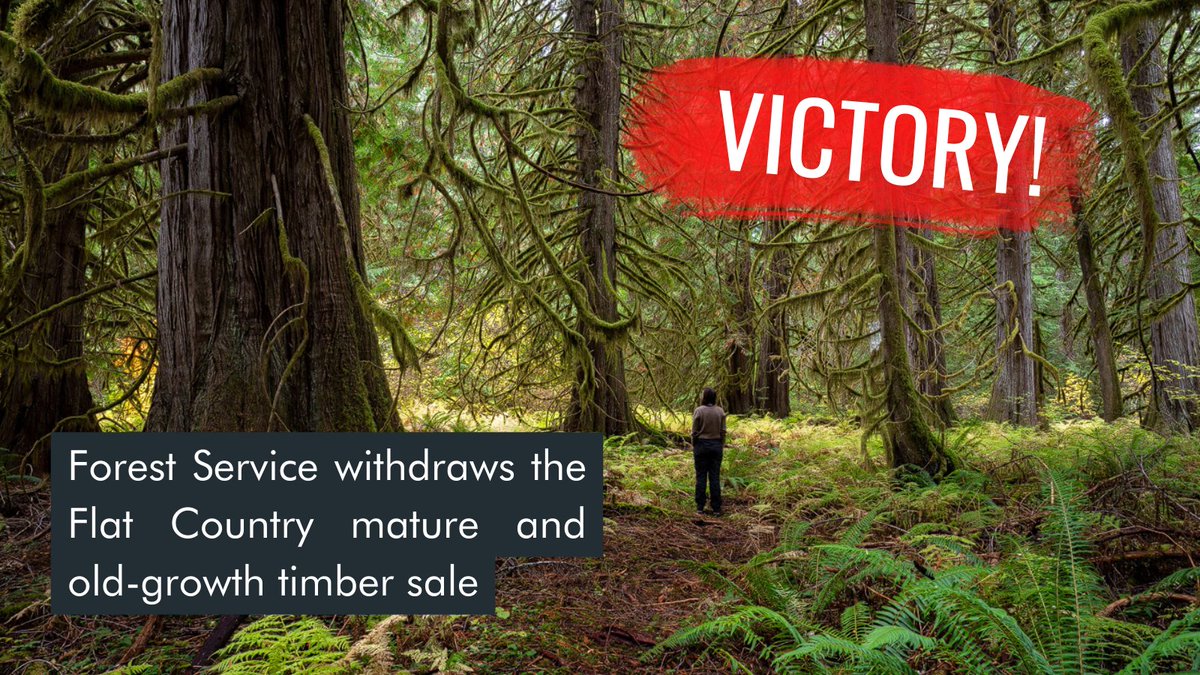 VICTORY! @forestservice has withdrawn the Flat Country timber sale, a project that would log over 2,000 acres of mature & old-growth forest. We must demand lasting protections for these critical climate-saving forests with a new nation rule NOW! @POTUS @WHCEQ #WorthMoreStanding