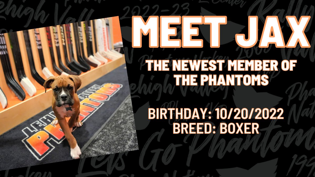 Introducing our newest Phantoms member, Jax! Be sure to stay tuned for all the Jax content, we're PAWsitive you'll fall in love 😍