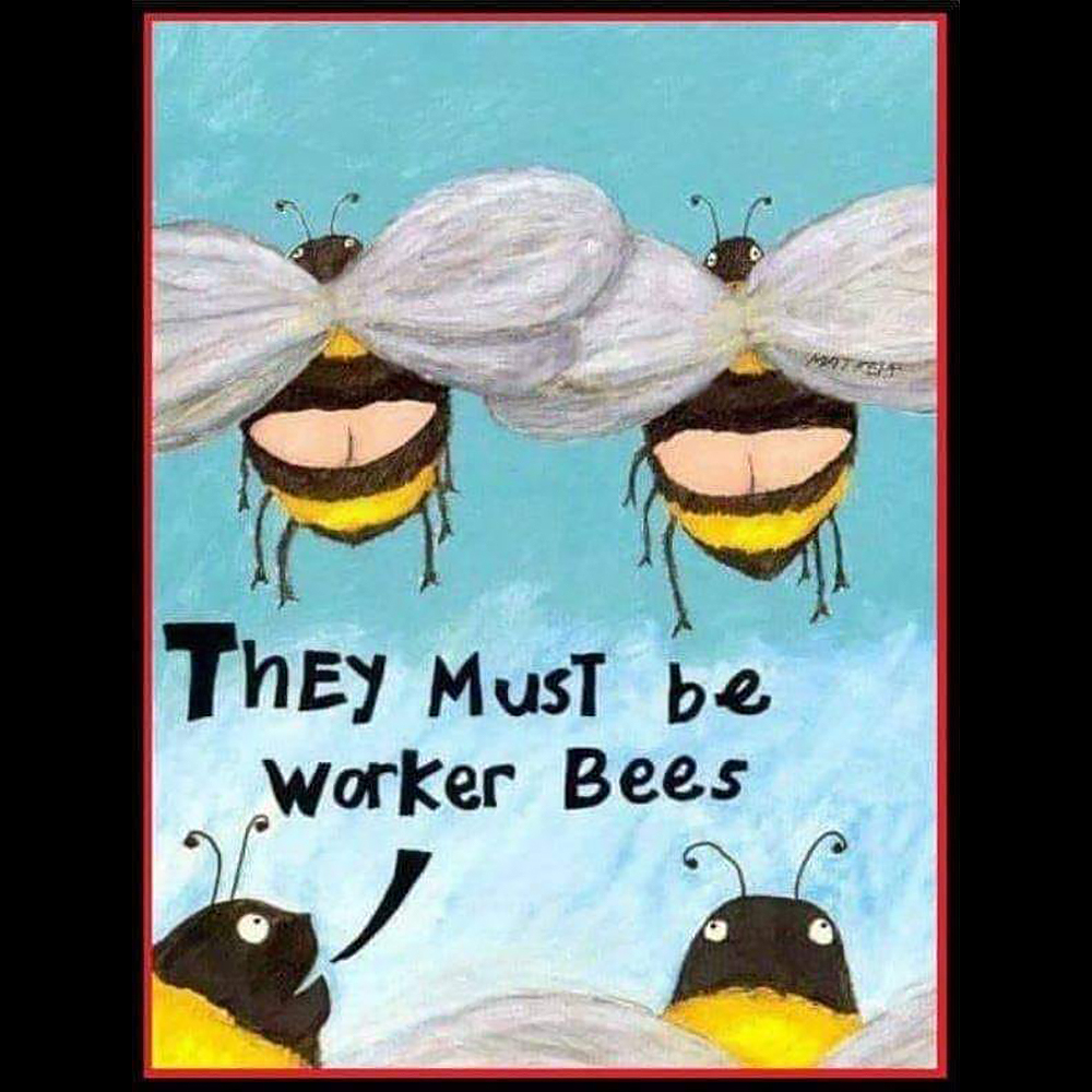 CheekyBeeCandle's tweet photo. Talk about some truly "CHEEKY" bees! Hope this brings a smile to your face on this dull Winter day. On the bright side, there's only 70 days until Spring arrives! Come visit the Gallery in Warkworth, or our online candle shop: https://t.co/SBE4KEL8Vr
#CheekyBee #FunnyBees #Shop https://t.co/jVKccTvFKu
