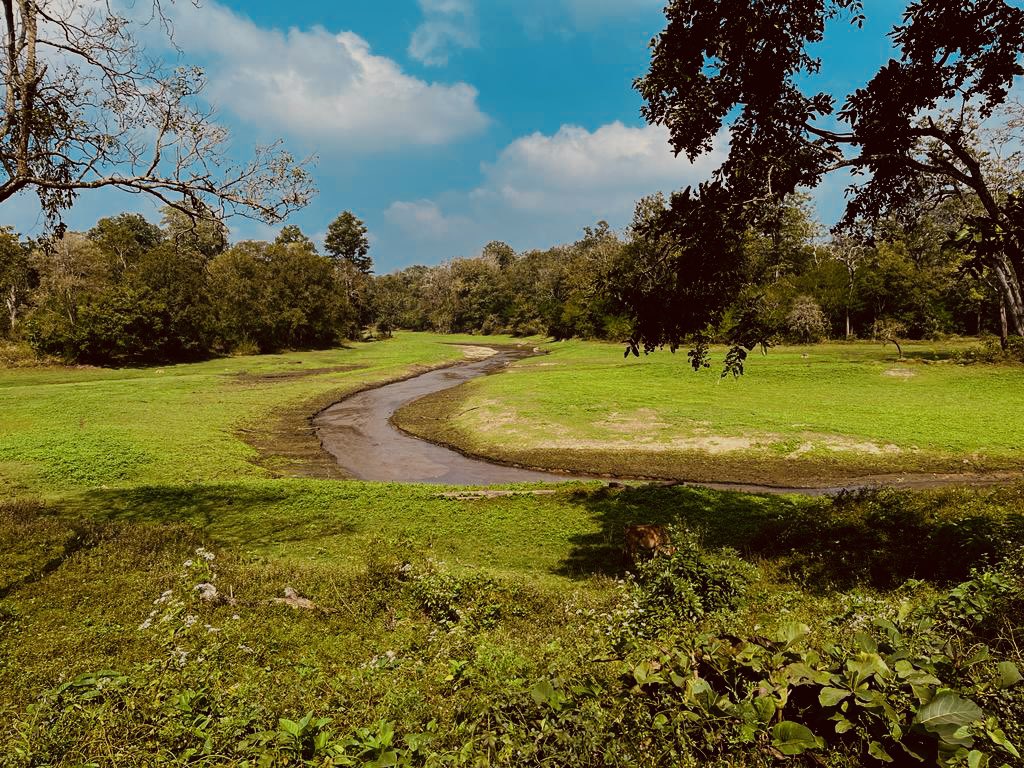 rajitdixit's tweet photo. #india https://t.co/LcDIt1xSzw