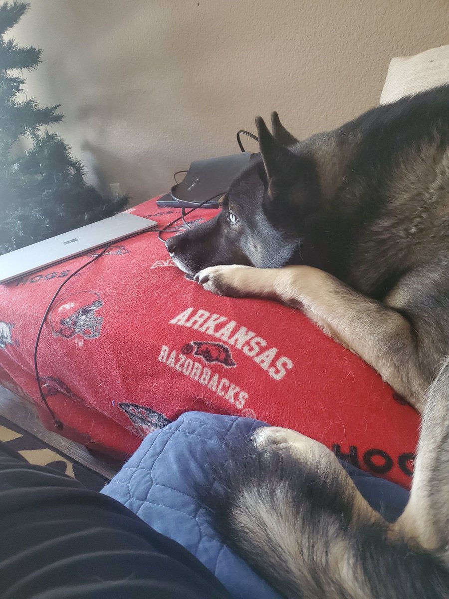 itsDeX__'s tweet photo. My best friend. https://t.co/guEd45JqqE