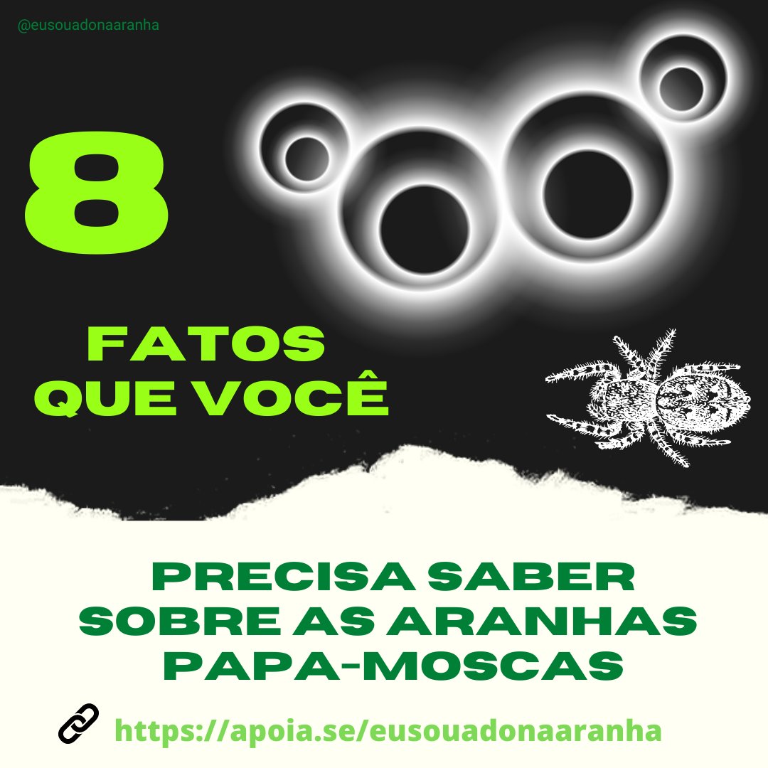 kim_dasaranhas's tweet photo. 8 Fatos Que Você Precisa Saber Sobre as Aranhas Papa-Moscas!
.
.
Segue o fio 🧵 https://t.co/RlkD55dF2V