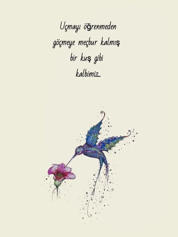 Var bir kendine "gelememişlik"...🙆‍♀️
