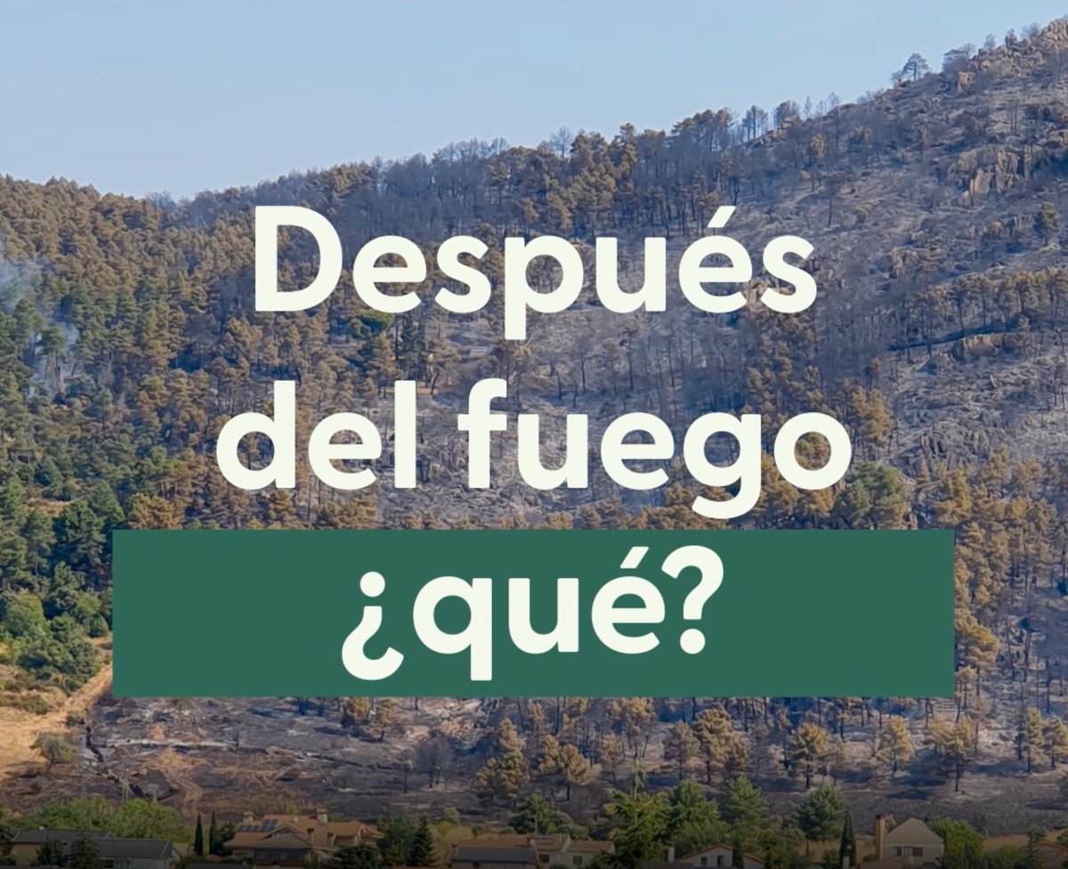 Después del fuego, ¿qué❓ Los #bosques solo son noticia cuando se queman. Pero los bosques son importantes todos los días. 1 lección aprendida en 2022 que no deberíamos olvidar. Conoce opinión d expertos s/🌳🌲q el humo del 🔥 nos impide ver y conocer 
🎥 bit.ly/3iplatK