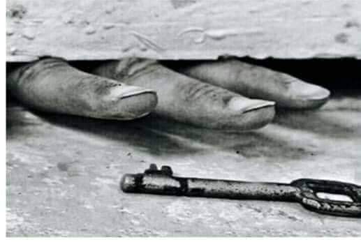 HajiFareed6's tweet photo. که درد دی وزغمه 
باوری اوسه چی د امیدونو کیلی دی په ګوتو ته درځی انشالله😊✋ https://t.co/uBEE9WjExT