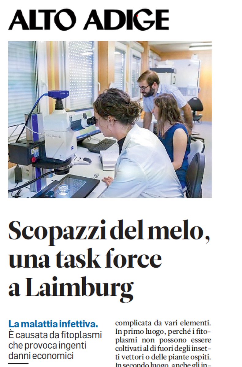 MolBioLB's tweet photo. 🔗"No Man is an Island" - Team work and collaboration are definitely our most important and enjoyable strengths. 
Thanks @alto_adige for this nice article about our "task force" against Apple Proliferation in South Tyrol.
@janikkatrin, @giova_schuler and @unibz_news https://t.co/RKgDQmcRo3