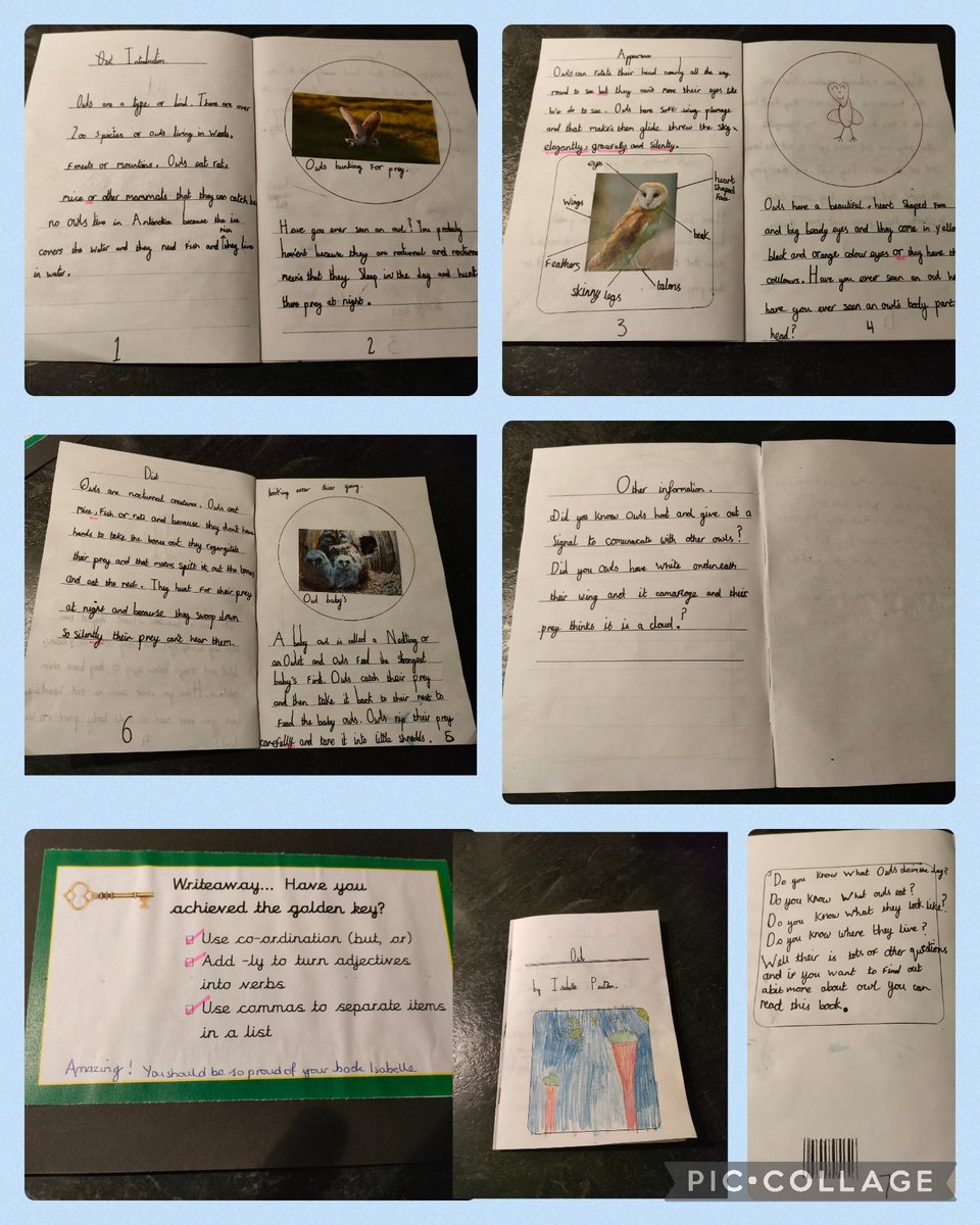 Sutton Green Primary School tweet media