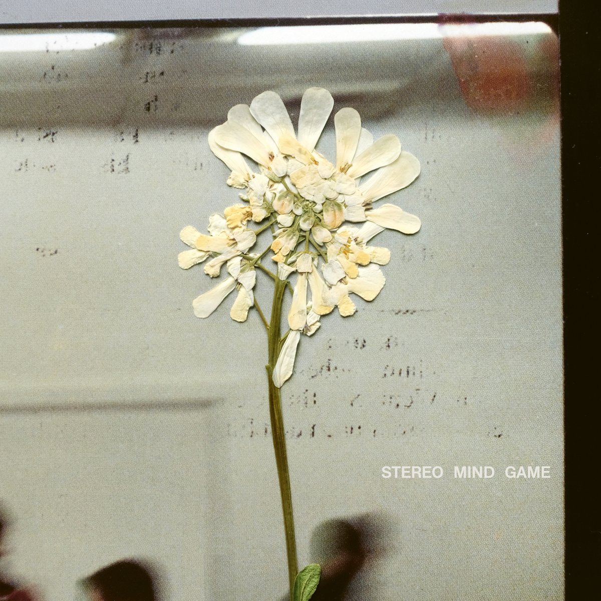 ohdaughter's tweet photo. Daughter’s new album 'Stereo Mind Game' will be released on 7th April. It is now available to pre-order. https://t.co/6PQLBLmxYG Listen to first single 'Be On Your Way’ here: https://t.co/08YaVyoVXN. /DHQx https://t.co/yNEEEkmftp