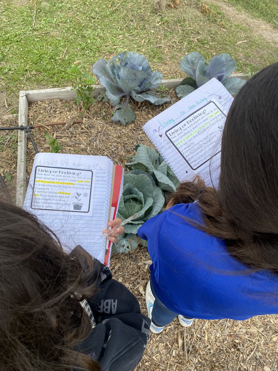MichelleFox956's tweet image. 5th grade students observed living and non-living organisms and made connections to their interaction with one another. Essential Questions were aligned to TEK! #InstructionalCore #TaskAlignedToTek #sciencerocks #IBschool