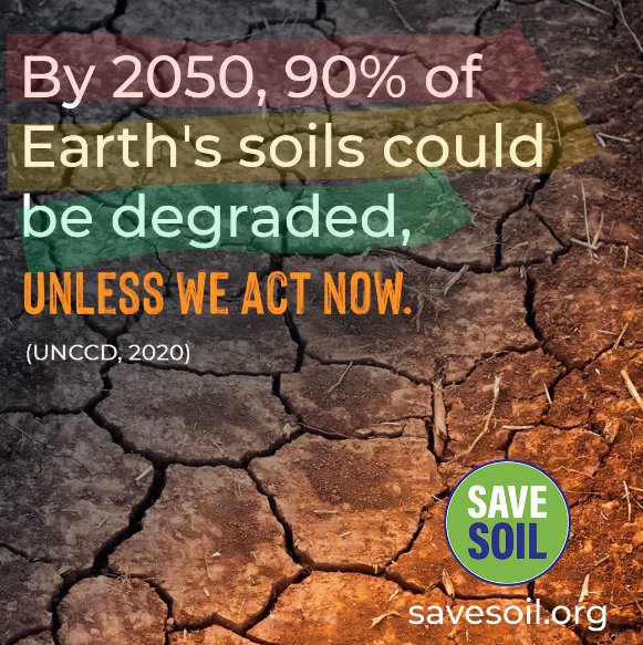 Our soil is dying right now..  #SoilChallenge    #SaveSoil  #ConsciousPlanet