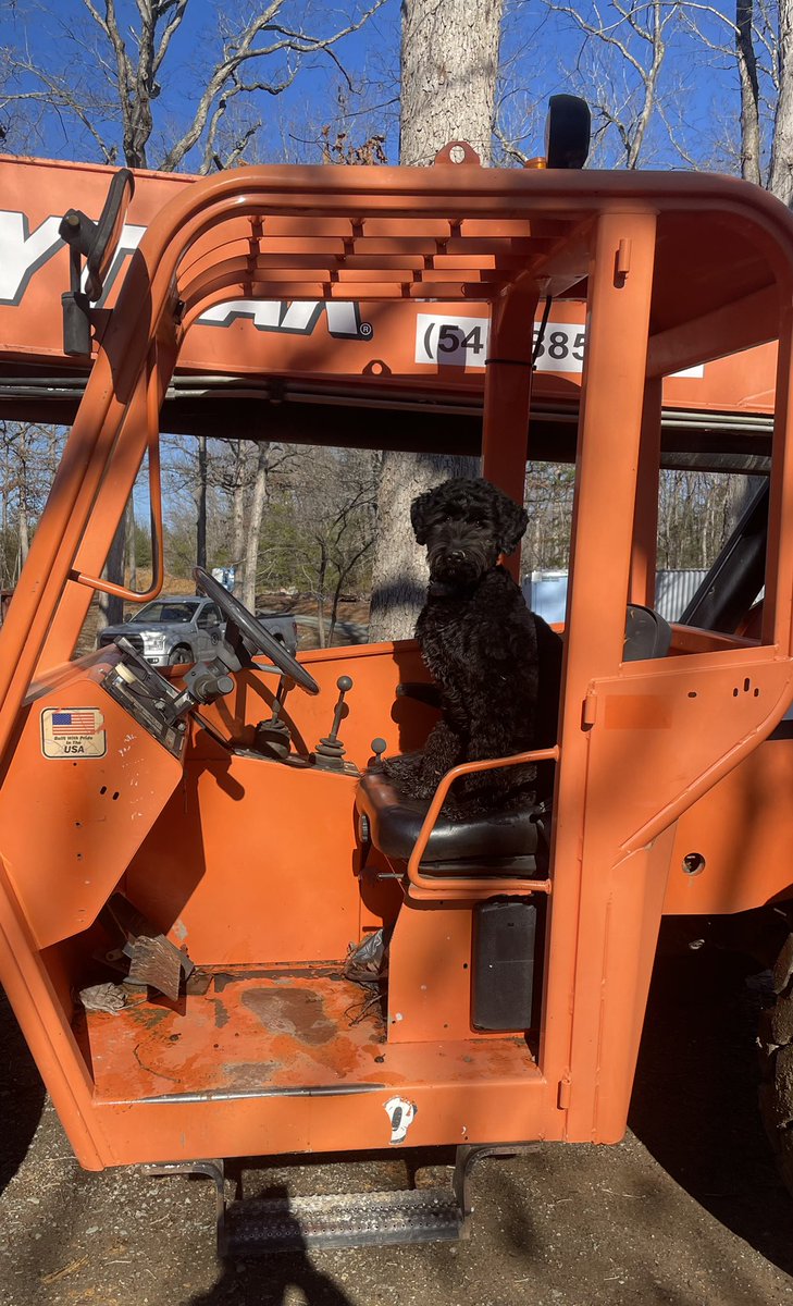 cobaka99's tweet image. Goose has finished her forklift certification. #workdogs