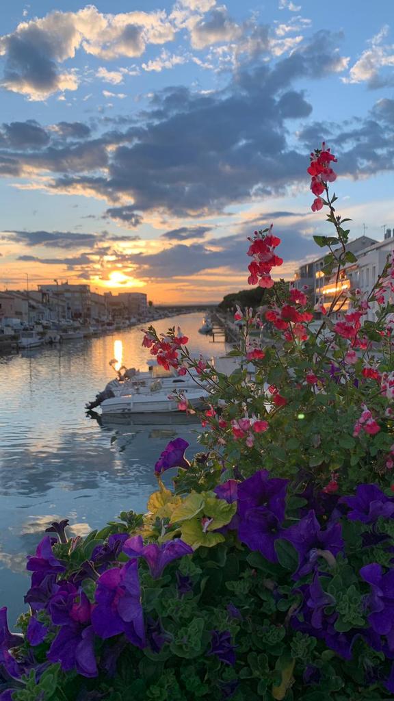 Bonsoir à Tous 🤗
#sunset souvenir #PalavaslesFlots immortalisé par ma Pauline ❤️ 
#lundifleuri
Très belle soirée 🌙 🌠
À demain 🙋‍♀️ ☕ avec j'espère davantage de participants ☺️ sinon une pause s'imposera.. ⏸️
Je vous embrasse 💋 😘