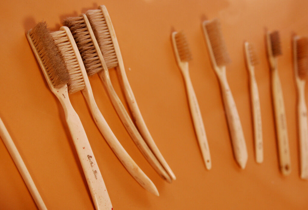 As long as people have had fingers, they’ve no doubt brushed their teeth or tried to remove debris between them, but the first “toothbrushes” were twigs. Aren't you glad you're not brushing with TWIGS? #dentalhistory #lowtechdentistry 
dentistwestmichigan.com/toothbrush-his…