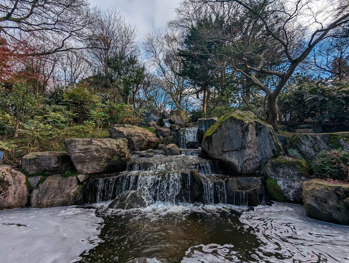 footballtripper's tweet photo. a beautiful sight in a little London gem i found today , Holand park  #photography #photographylovers please retweet #retweet https://t.co/VLNTdtHCS4