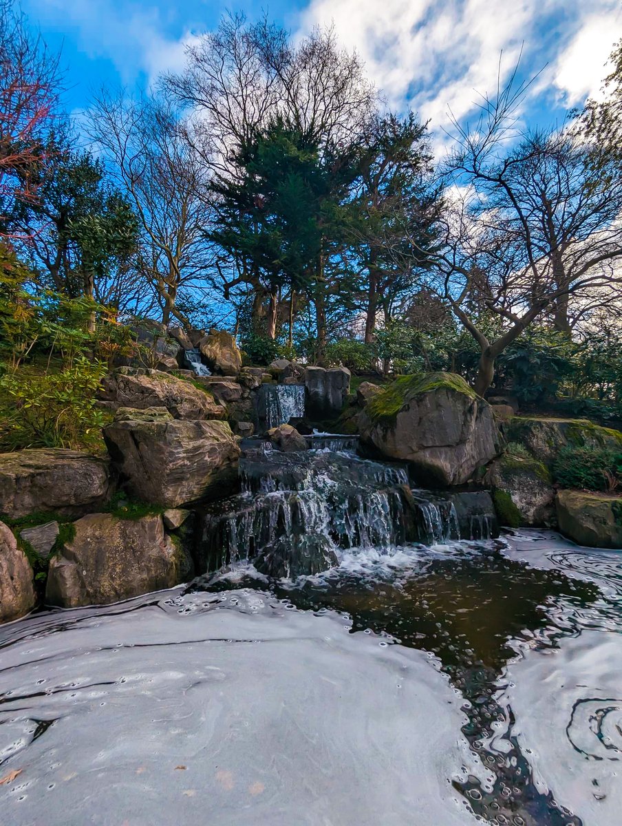 footballtripper's tweet photo. a beautiful sight in a little London gem i found today , Holand park  #photography #photographylovers please retweet #retweet https://t.co/VLNTdtHCS4