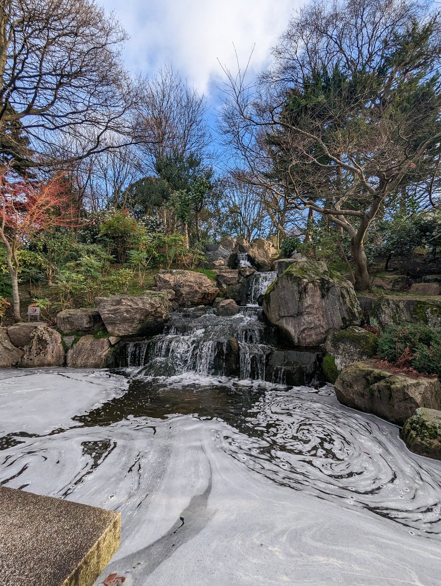 a beautiful sight in a little London gem i found today , Holand park  #photography #photographylovers please retweet #retweet